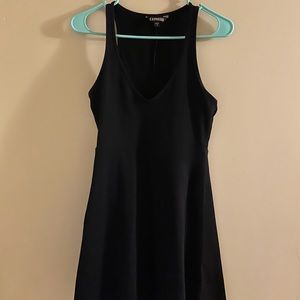 Express Skater Dress